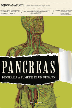 Pancreas